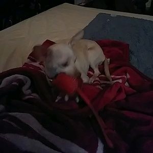 Meet your Posher, Stacy